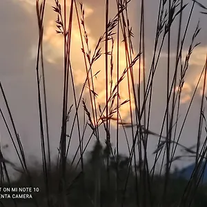 Le D'olympe Cordes-sur-Ciel